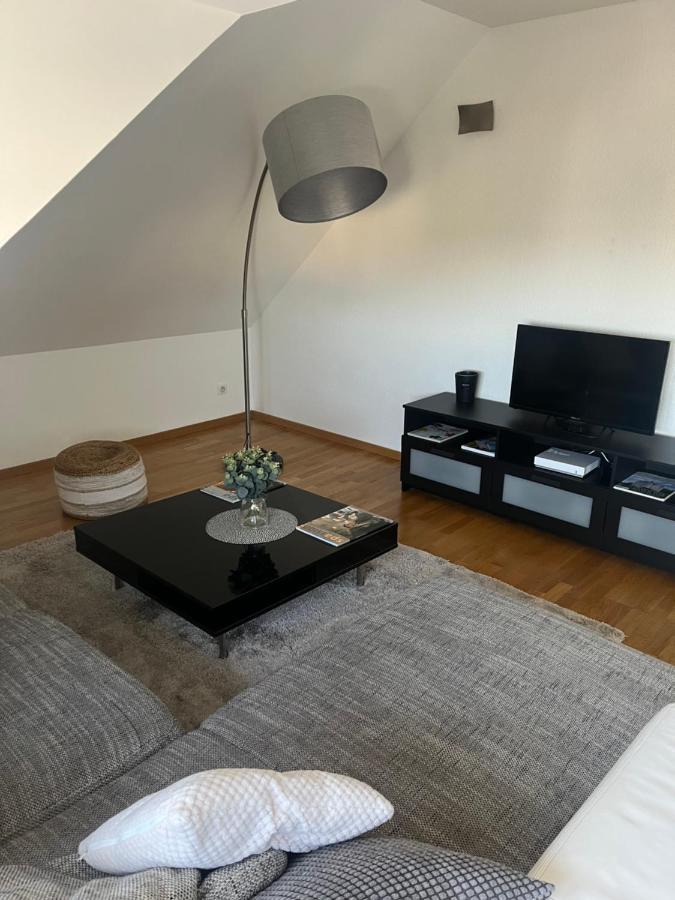 Bel Appartement Centre Climatise Parking Prive Κολμάρ Εξωτερικό φωτογραφία