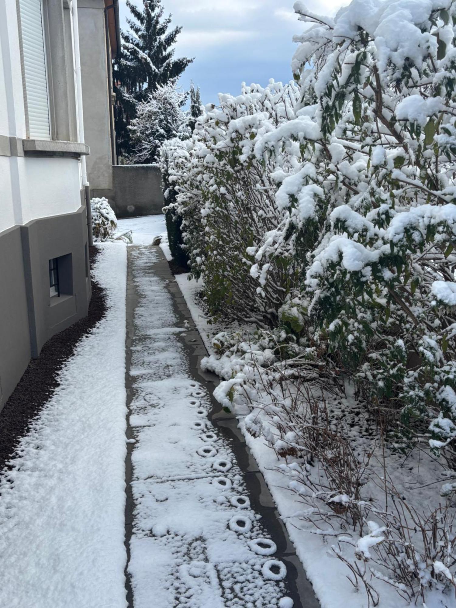 Bel Appartement Centre Climatise Parking Prive Κολμάρ Εξωτερικό φωτογραφία